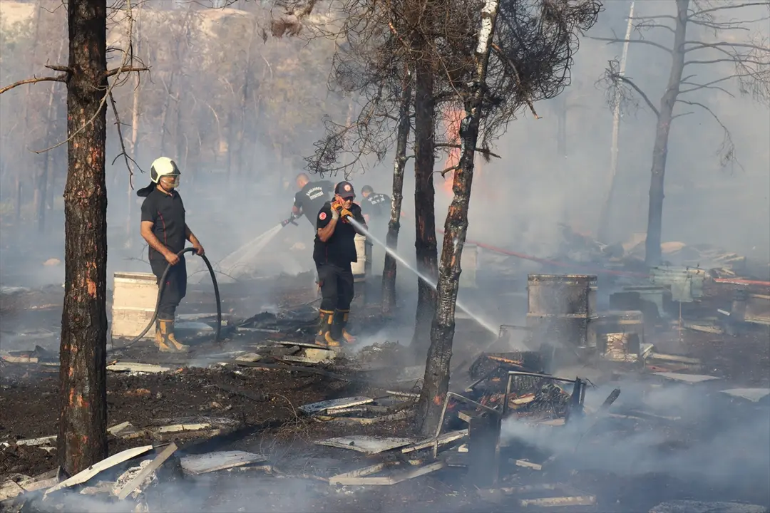 Fire Spreading to Forest in Şanlıurfa Under Control