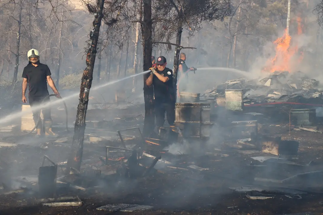 Fire Spreading to Forest in Şanlıurfa Under Control