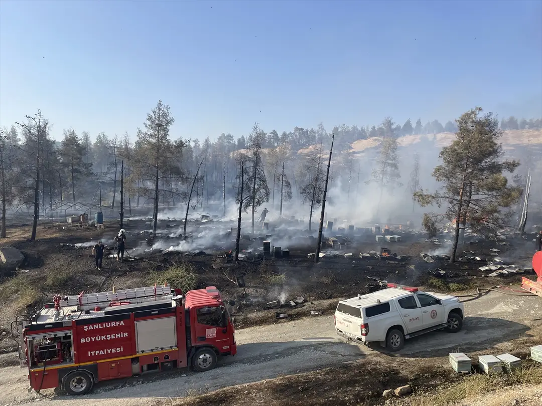 Fire Spreading to Forest in Şanlıurfa Under Control