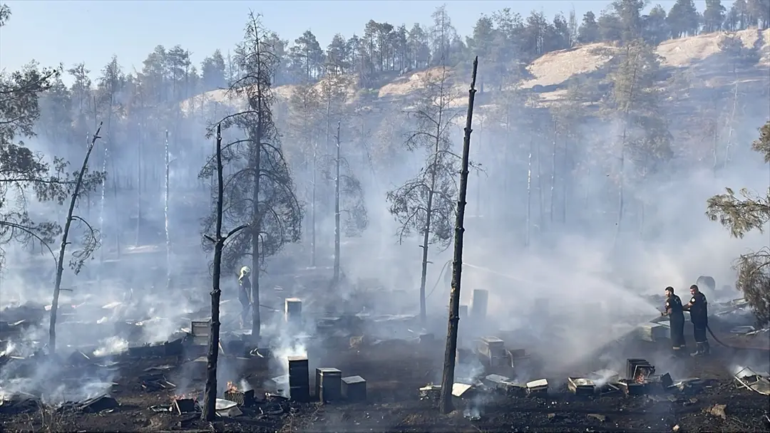 Fire Spreading to Forest in Şanlıurfa Under Control