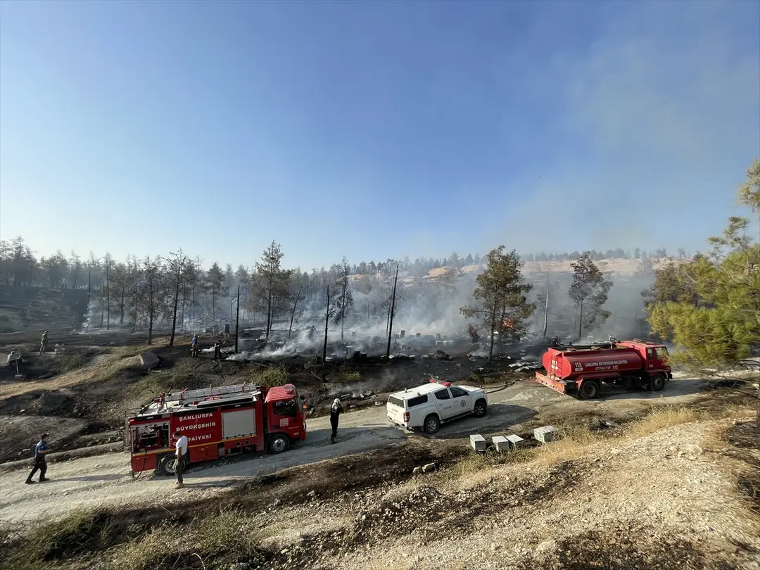 Fire Spreading to Forest in Şanlıurfa Under Control