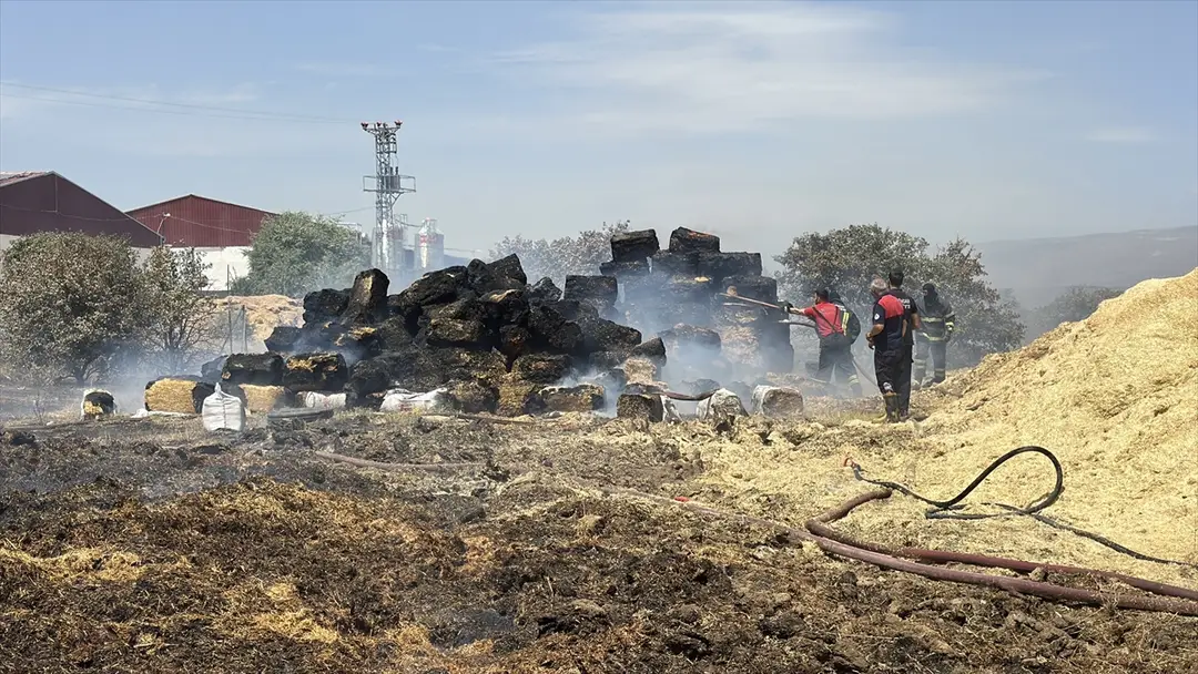 Erzincan Hay Bale Fire Brought Under Control