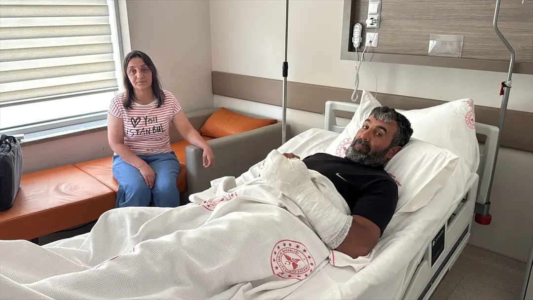Erzincan'da ayı saldırısına uğrayan kişi yaralandı