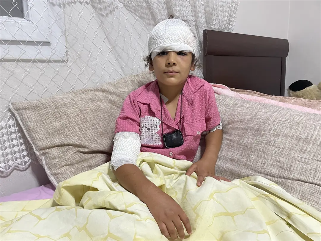 Şanlıurfa: 8-Year-Old Evin Bayo Injured by Stray Dogs