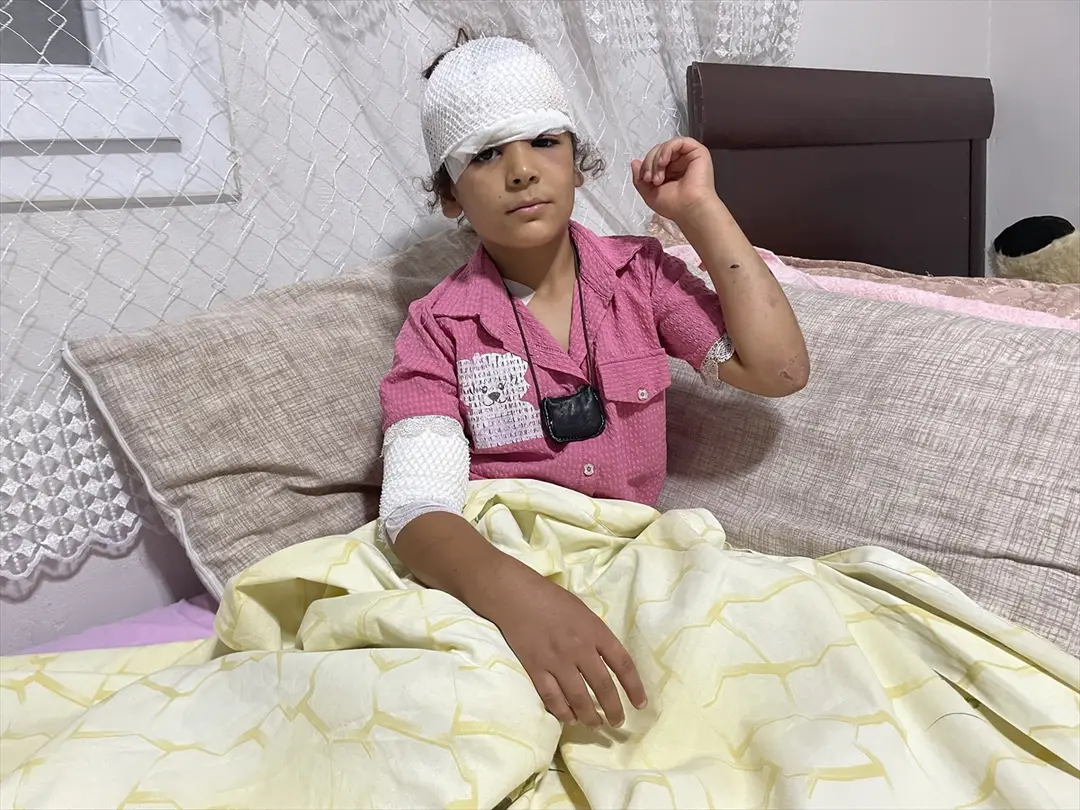 Şanlıurfa: 8-Year-Old Evin Bayo Injured by Stray Dogs