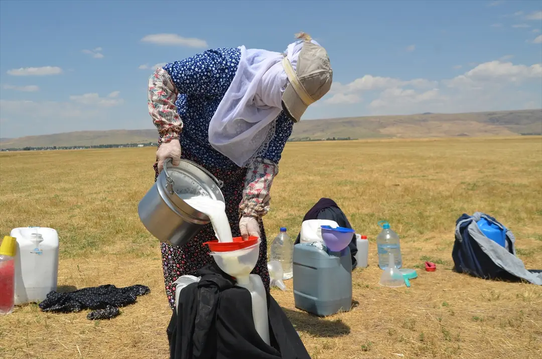 Muşer Frauen: Täglich kilometerweit unterwegs, um Herden zu melken