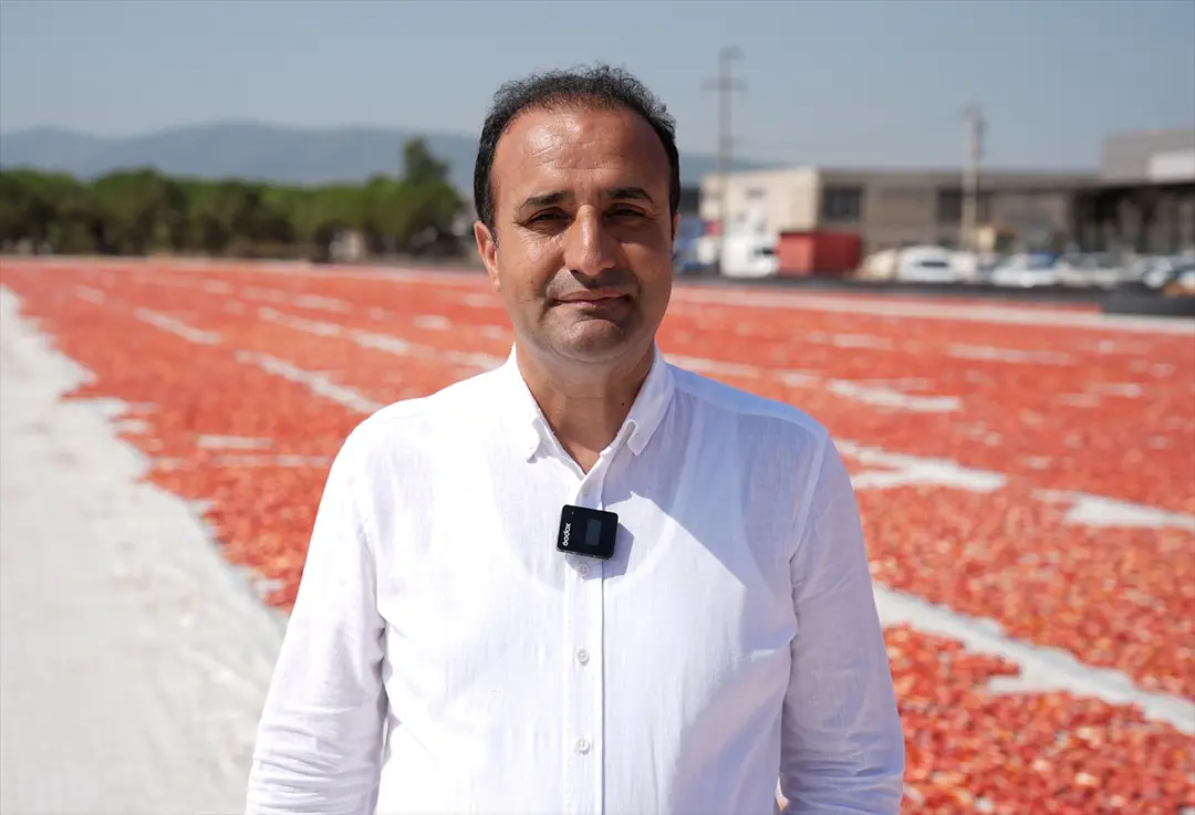 Türkiye: Kurutulmuş domates ihracatı ilk yarıda 61 milyon dolar