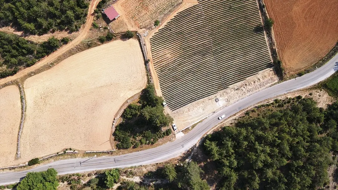 Muğla-Erdbeerprojekt steigert Produktion und Beschäftigung im ländlichen Raum