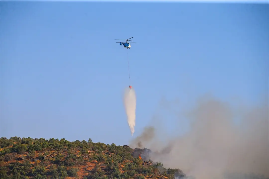Uşak Eşme'de meşelik alanda çıkan yangına müdahale sürüyor