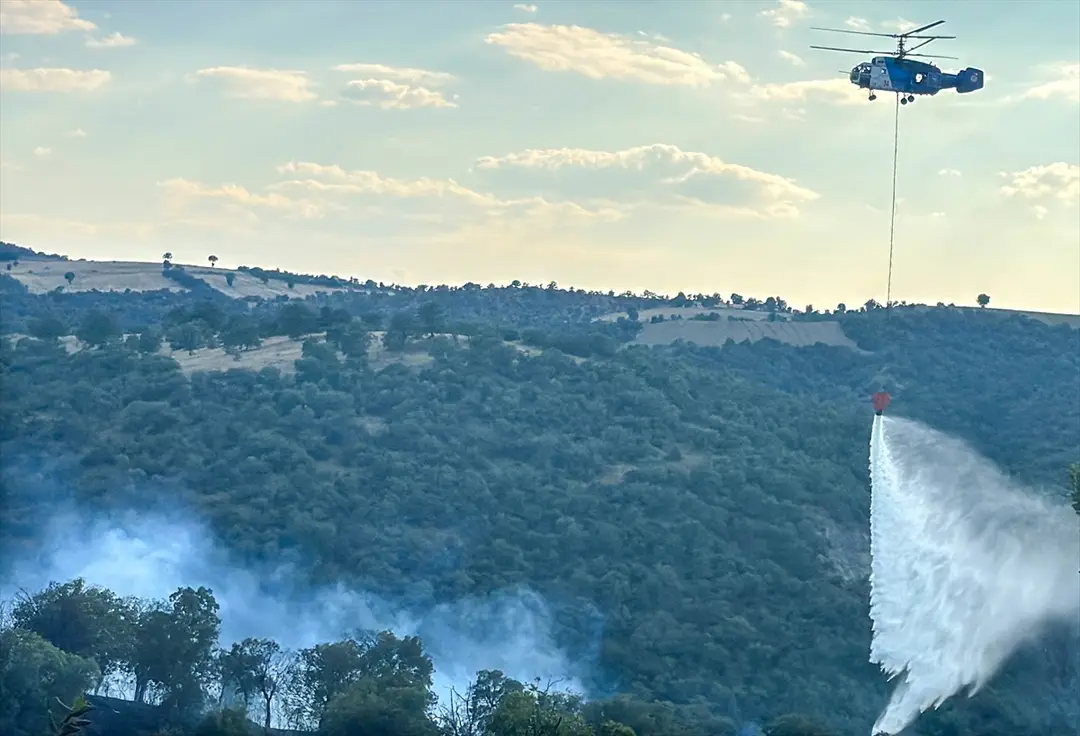 Uşak Eşme'de meşelik alanda çıkan yangına müdahale sürüyor