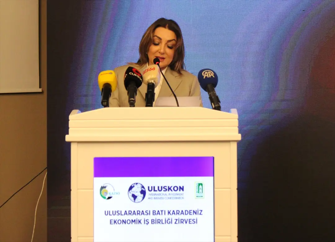Kastamonu'da Uluslararası Batı Karadeniz Ekonomik İş Birliği Zirvesi başladı