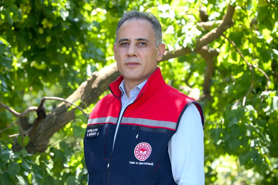İl Müdürü Aydın: Kağızman Kayısısı Mikroklima Sayesinde Lezzetli