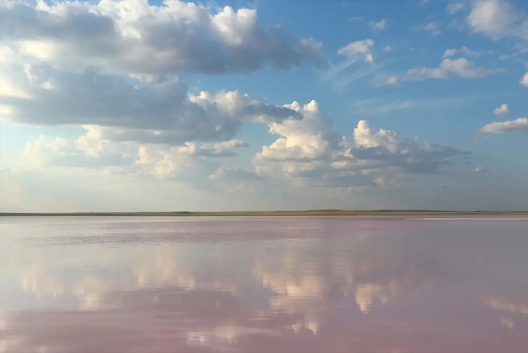 Kazakistan'ın pembe gölü Köbeytuz: Doğal güzellik koruma altında