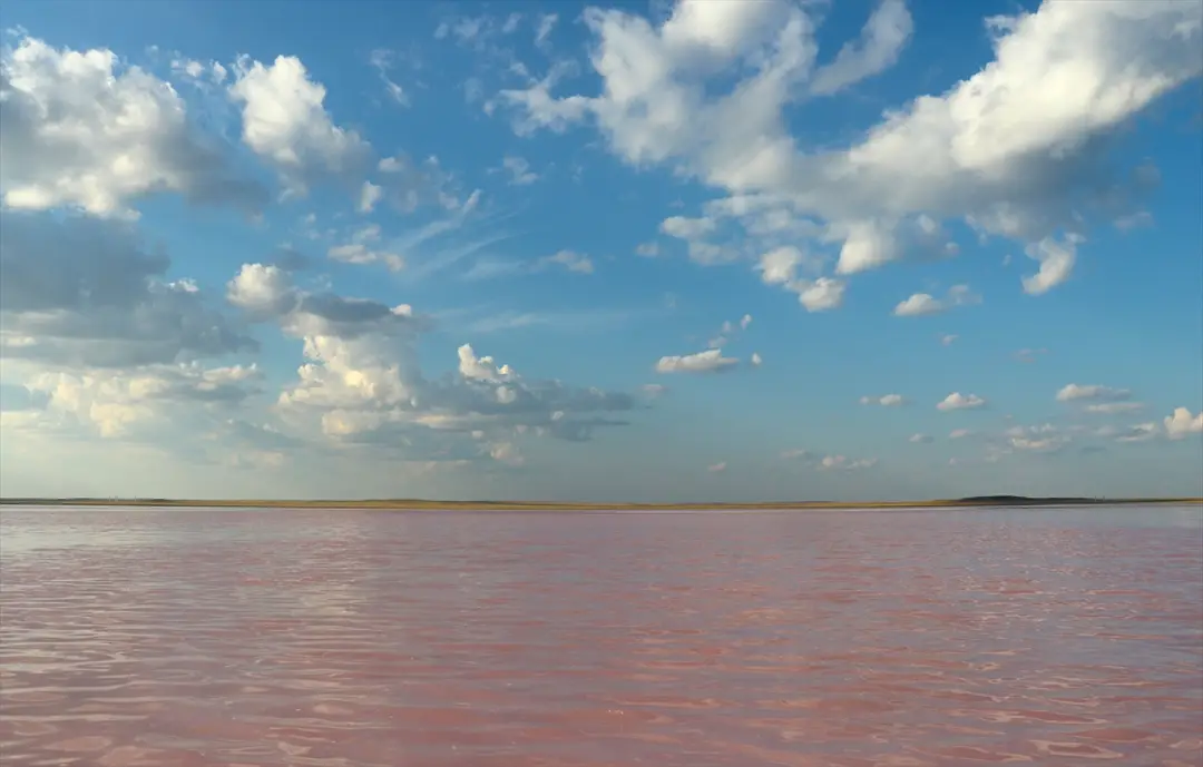 Kazakistan'ın pembe gölü Köbeytuz: Doğal güzellik koruma altında
