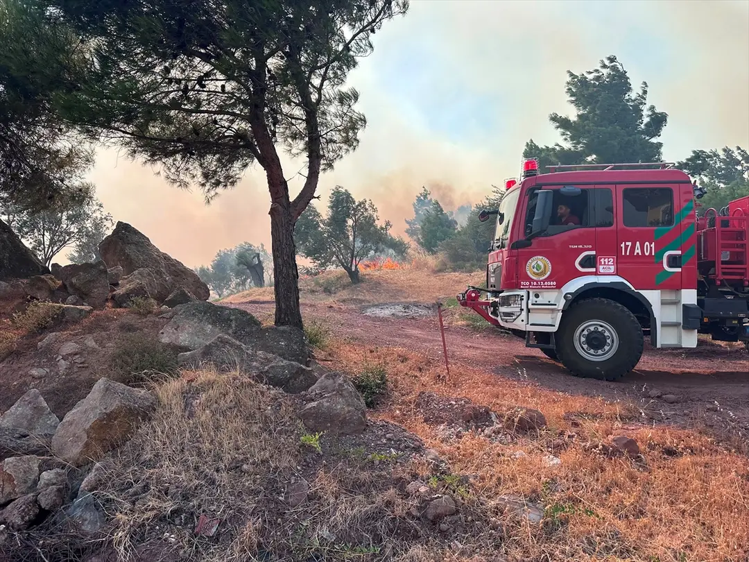 Çanakkale Valiliği: Ayvacık'taki orman yangınına müdahale sürüyor