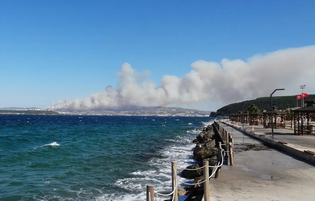 Çanakkale'de orman yangını: Ekipler havadan ve karadan müdahalede