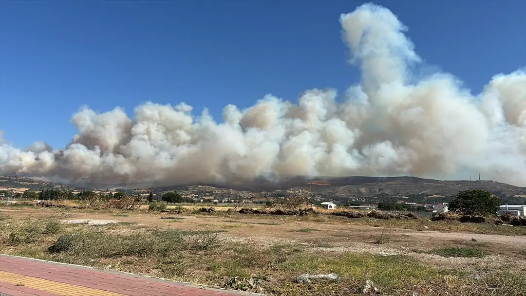 Çanakkale merkezdeki ormanlık alanda çıkan yangına müdahale ediliyor