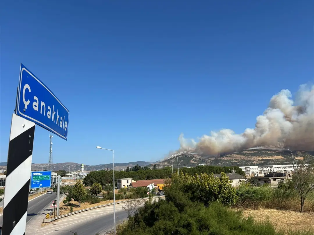 Çanakkale merkezdeki ormanlık alanda çıkan yangına müdahale ediliyor