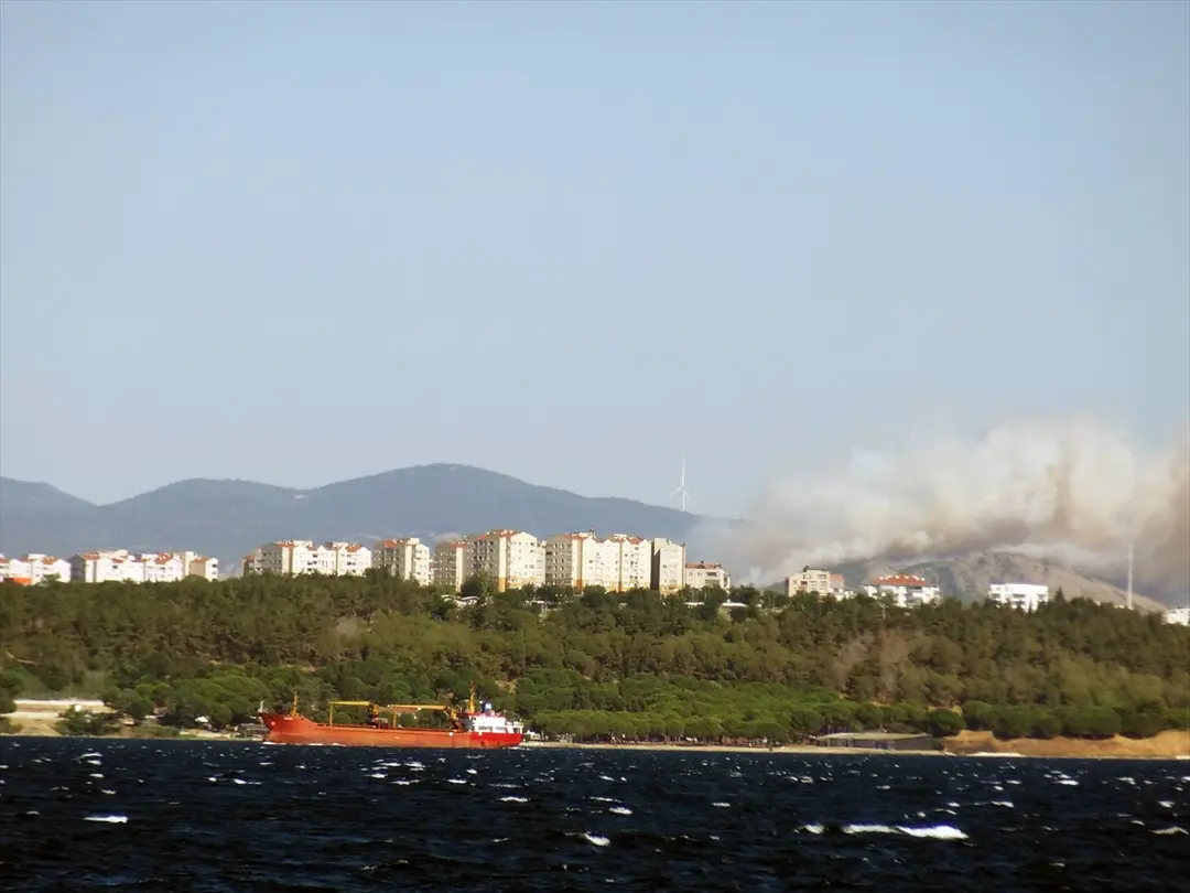 Çanakkale merkezdeki ormanlık alanda çıkan yangına müdahale ediliyor