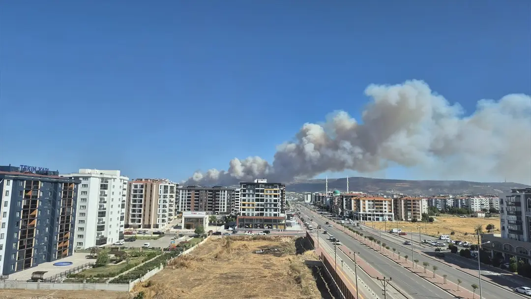 Çanakkale merkezdeki ormanlık alanda çıkan yangına müdahale ediliyor