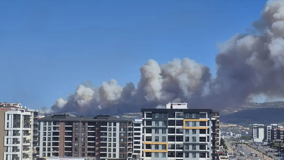 Çanakkale merkezdeki ormanlık alanda çıkan yangına müdahale ediliyor