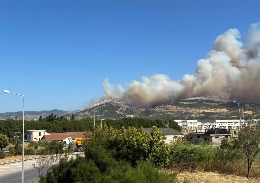 Çanakkale merkezdeki ormanlık alanda çıkan yangına müdahale ediliyor