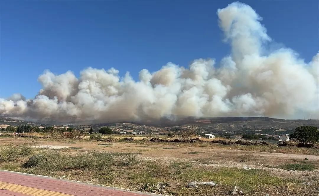 Çanakkale merkezdeki ormanlık alanda çıkan yangına müdahale ediliyor