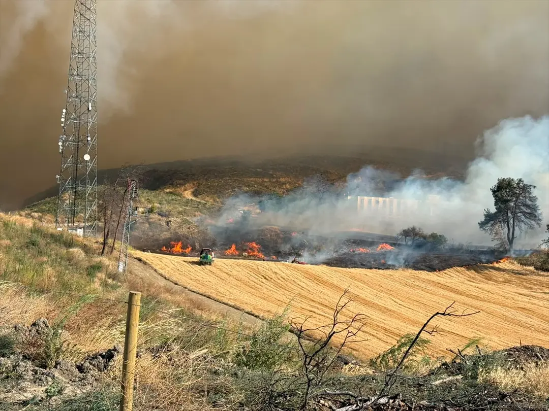 Çanakkale merkezdeki ormanlık alanda çıkan yangına müdahale ediliyor