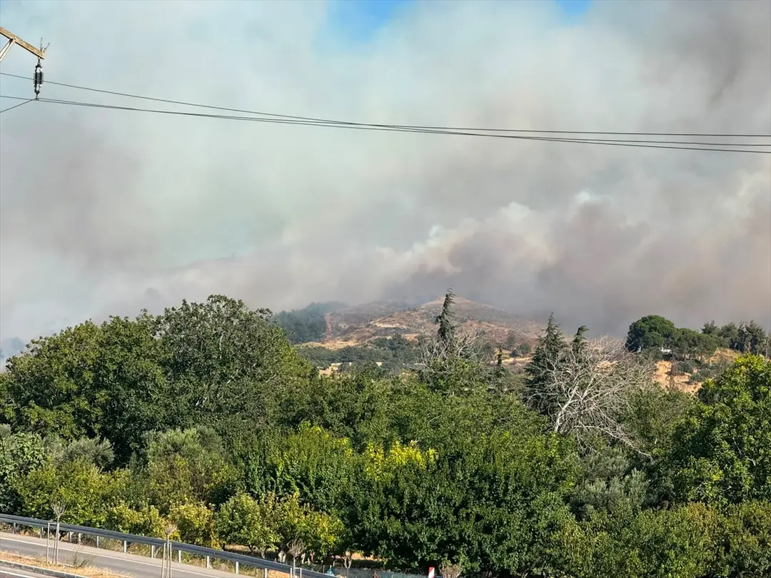 Çanakkale merkezdeki ormanlık alanda çıkan yangına müdahale ediliyor