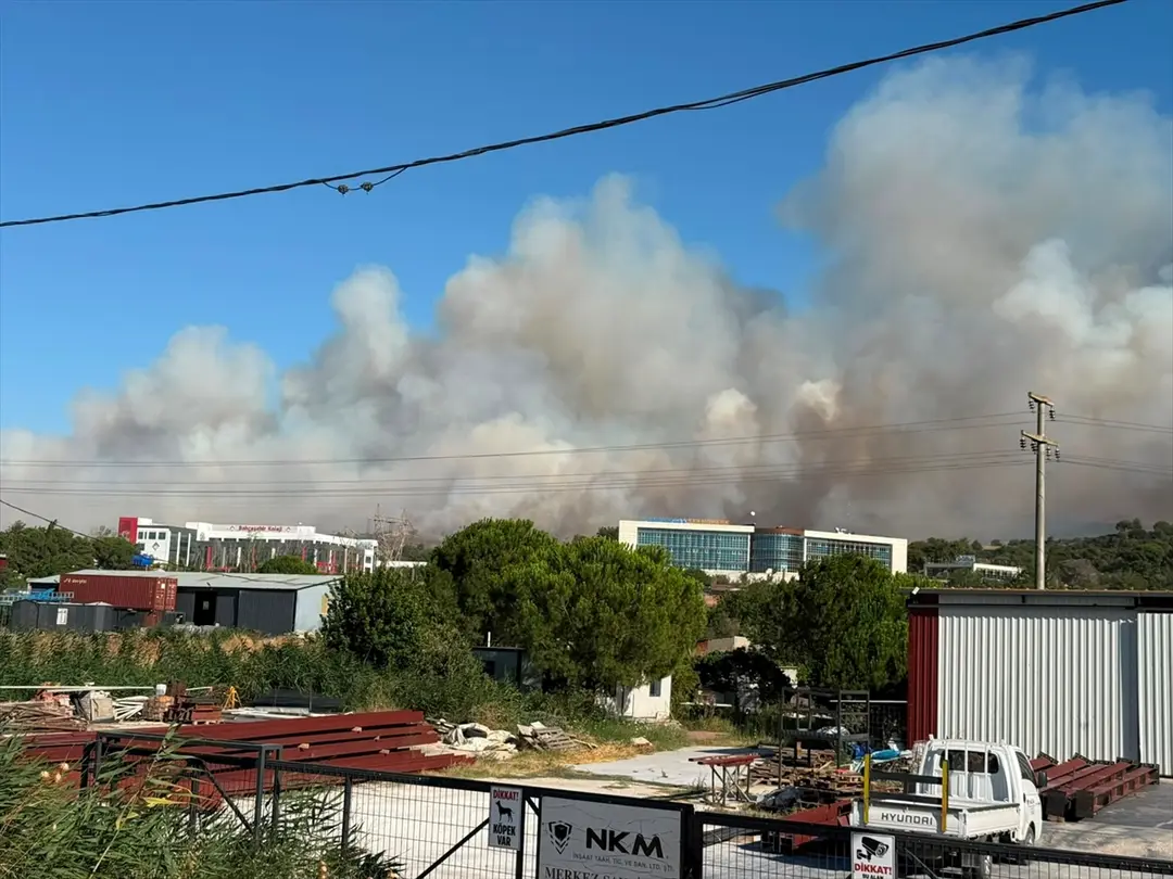 Çanakkale merkezdeki ormanlık alanda çıkan yangına müdahale ediliyor