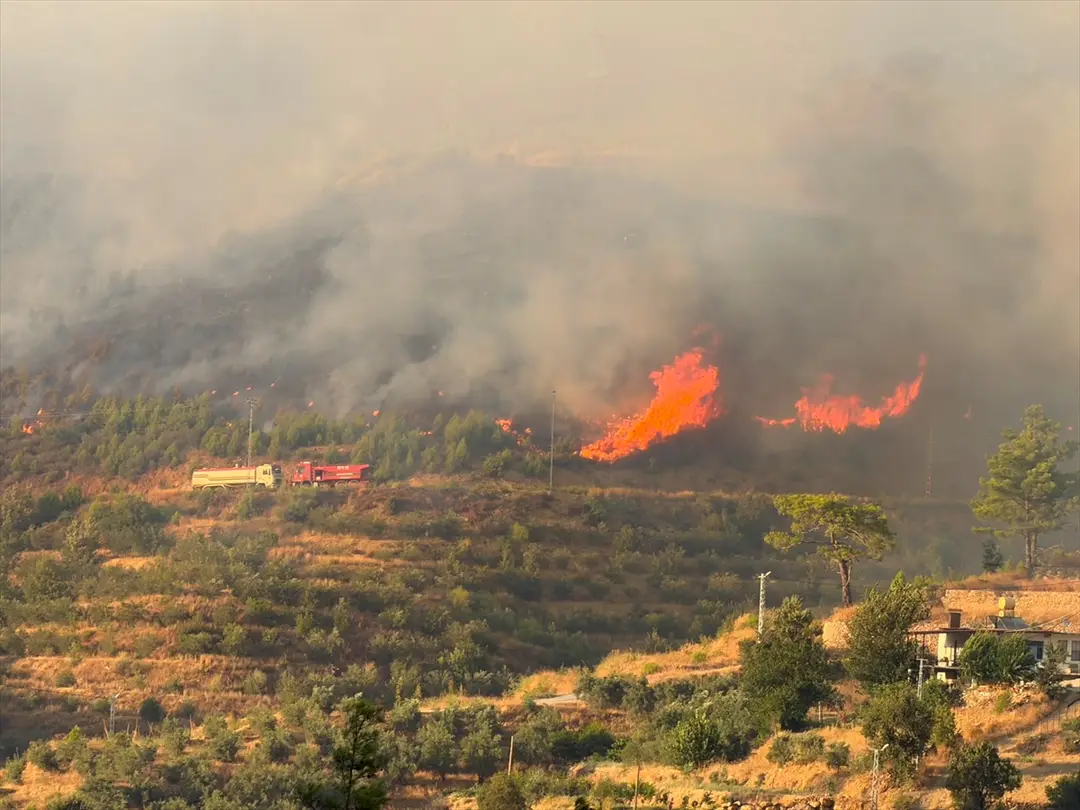 Antalya'da ormanlık alanda çıkan yangına müdahale ediliyor