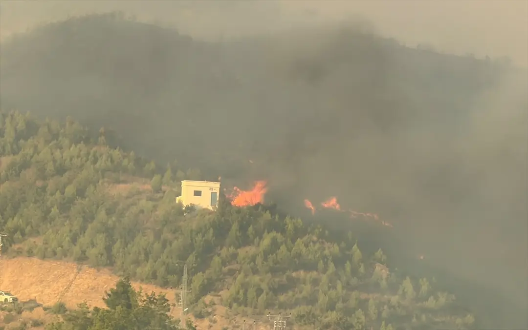 Antalya'da ormanlık alanda çıkan yangına müdahale ediliyor