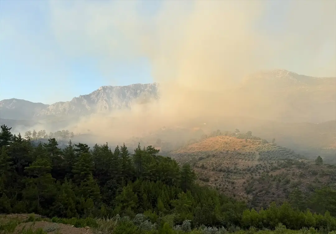 Antalya'da ormanlık alanda çıkan yangına müdahale ediliyor