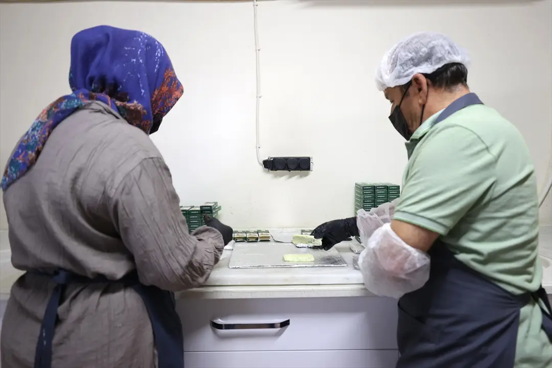 Fındıktan ilham aldı, tescilli kabak çekirdeğiyle ezme ve çikolata üretti