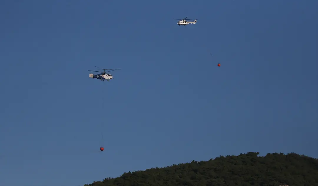 Çanakkale Ayvacık'ta orman yangını: Havadan müdahale sürüyor