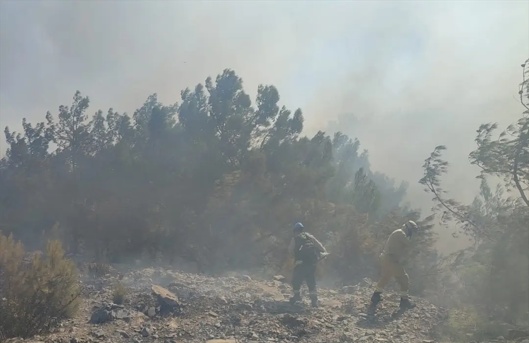 Mersin'deki orman yangınına havadan ve karadan müdahale