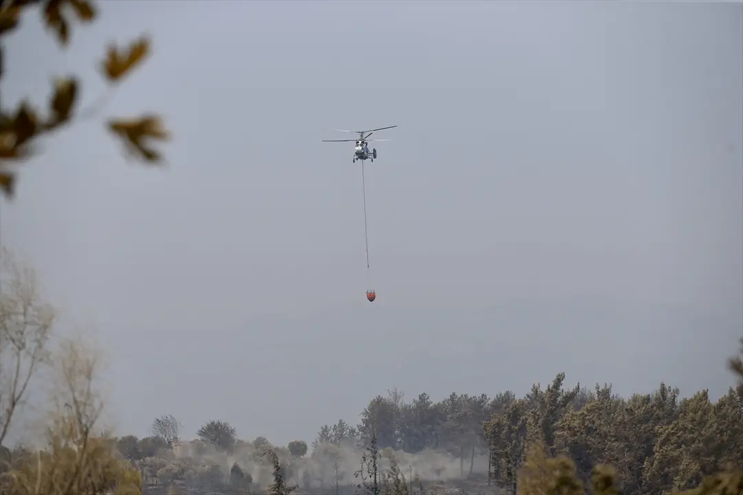 Muğla Seydikemer'deki orman yangınına müdahale sürüyor
