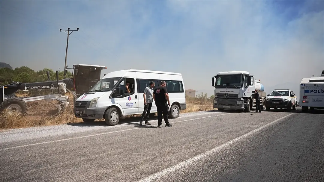 Balıkesir Sındırgı'daki orman yangını kontrol altına alındı
