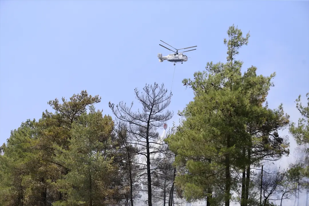 Fethiye'deki orman yangını rüzgarla yeniden alevlendi