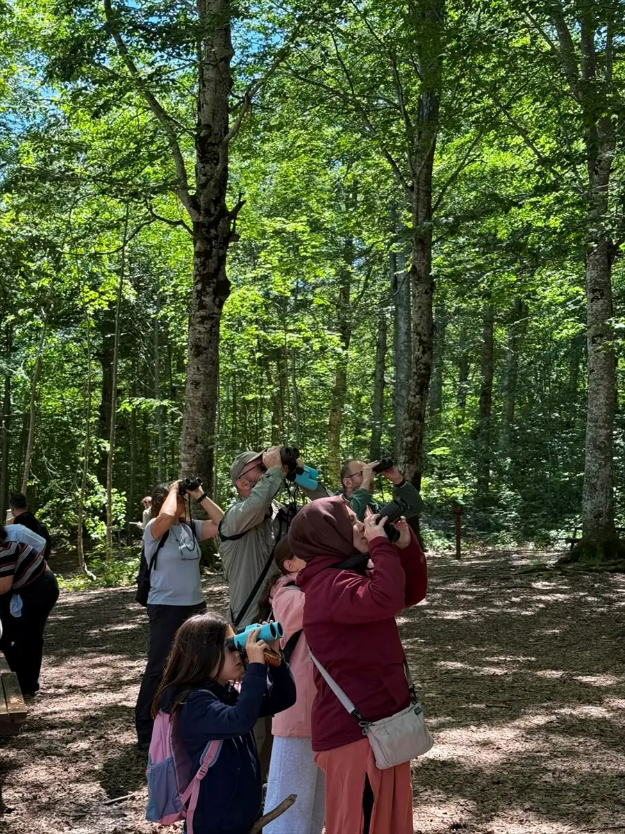 Kocaeli Kuş Gözlem Etkinliği: Kara Akbaba Görüntülendi