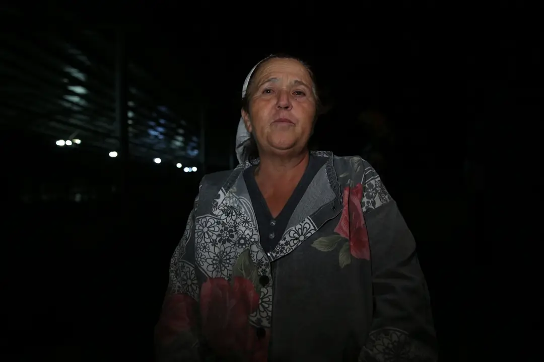 Aydın Çine Orman Yangını: Havadan ve karadan müdahale sürüyor