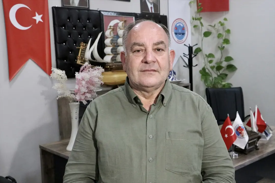 Sakarya'da sahipsiz köpekler toplatıldı, şikayetler azaldı