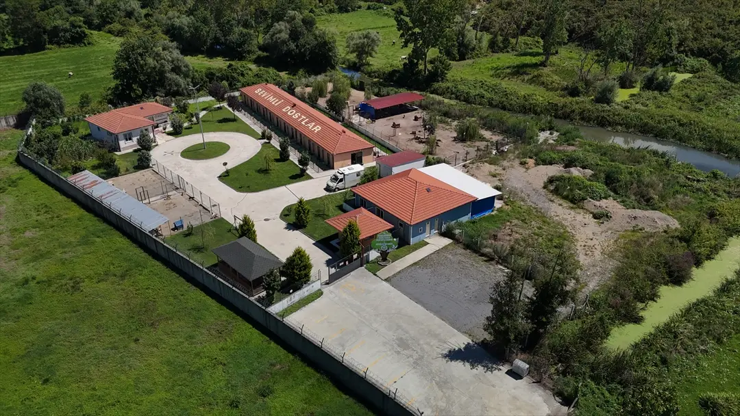 Sakarya'da sahipsiz köpekler toplatıldı, şikayetler azaldı