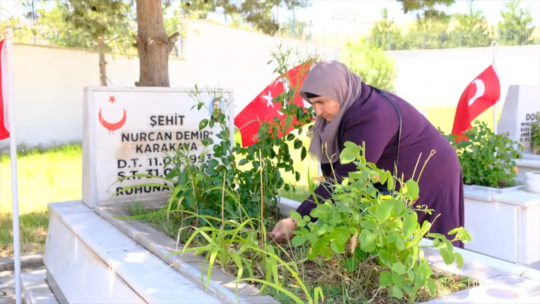 Şehit Bedirhan Bebek ve Annesi Sivas'ta Mezarları Başında Anıldı