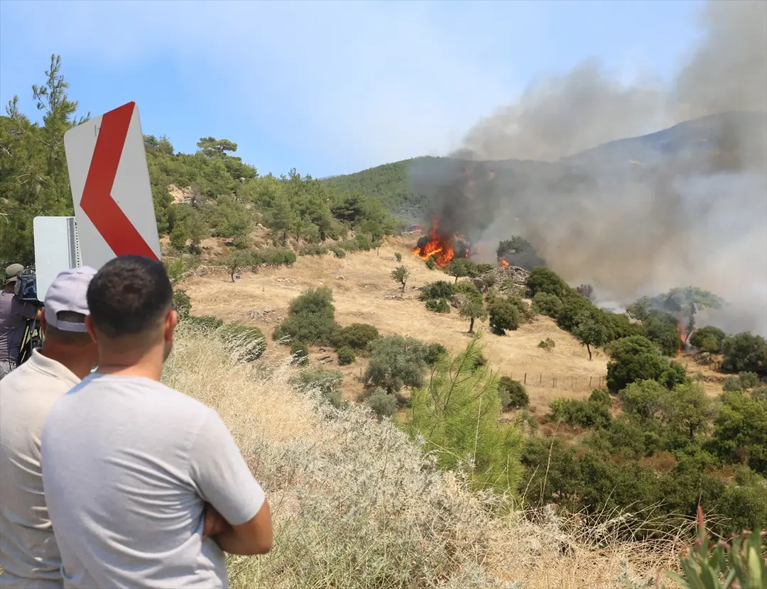 Vali Osman Varol: Çine yangınına 805 personel müdahale ediyor