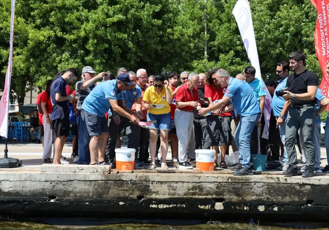 Muğla Köyceğiz Gölü'ne 100 Bin Sazan Yavrusu Bırakıldı