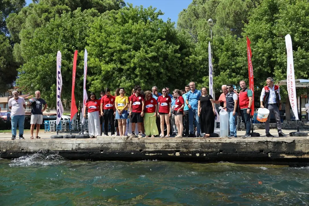 Muğla Köyceğiz Gölü'ne 100 Bin Sazan Yavrusu Bırakıldı
