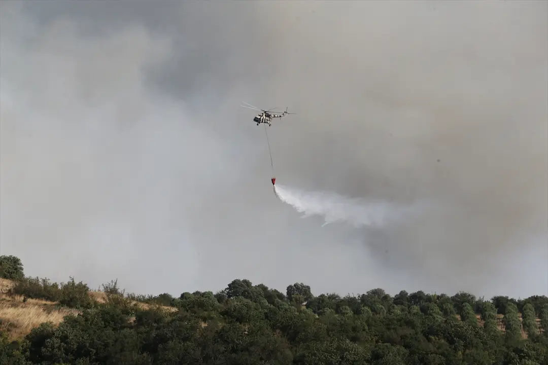 GÜNCELLEME 2 - Balıkesir'in Susurluk ilçesindeki ormanlık alanda çıkan yangına müdahale ediliyor