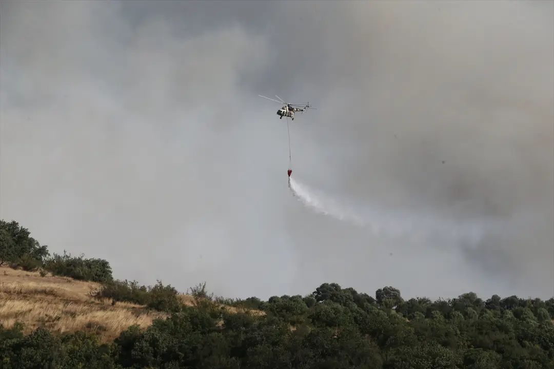 GÜNCELLEME 2 - Balıkesir'in Susurluk ilçesindeki ormanlık alanda çıkan yangına müdahale ediliyor
