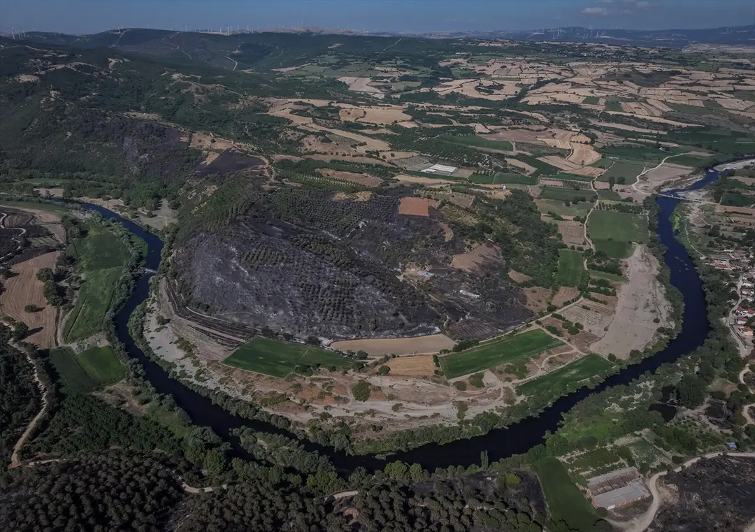 Balıkesir Susurluk'taki orman yangını kontrol altına alındı